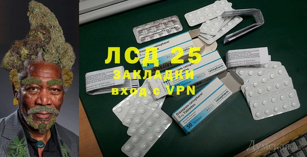 гидра Абаза